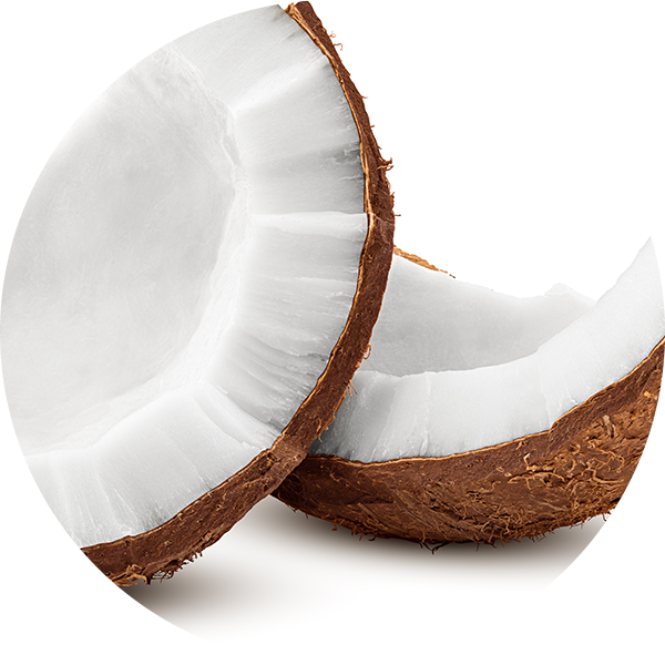 Coconut