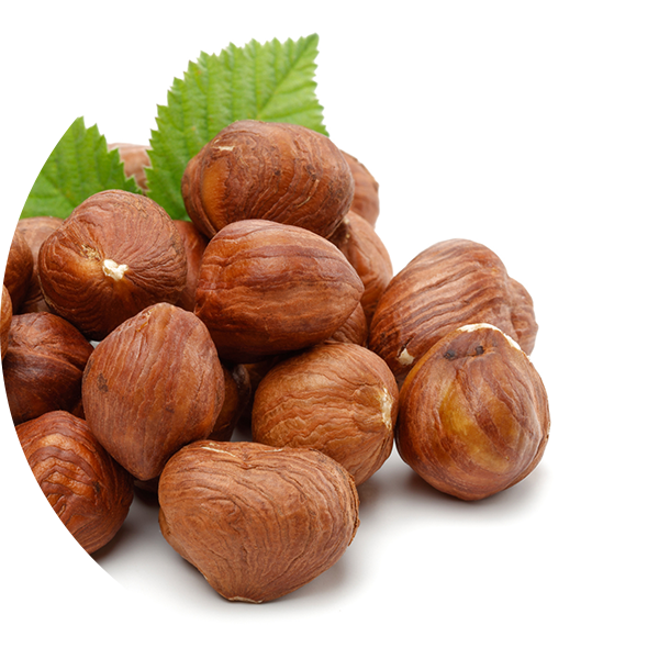 Mongongo Oil