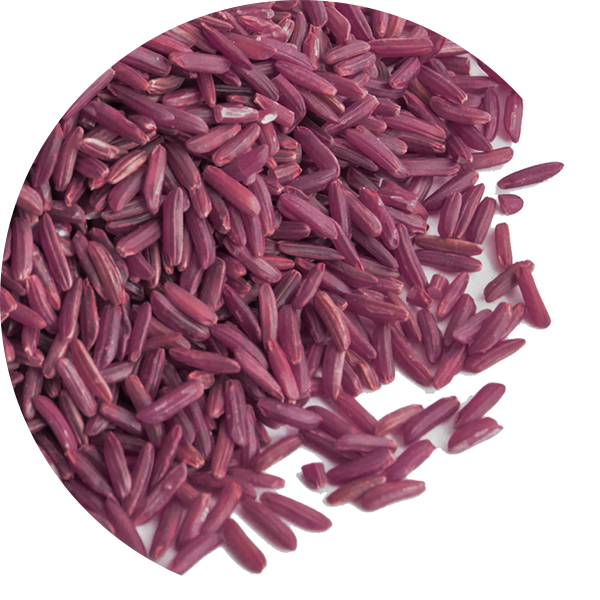 Purple Rice