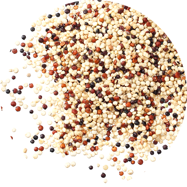 Quinoa