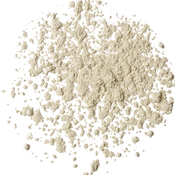 Rice Bran