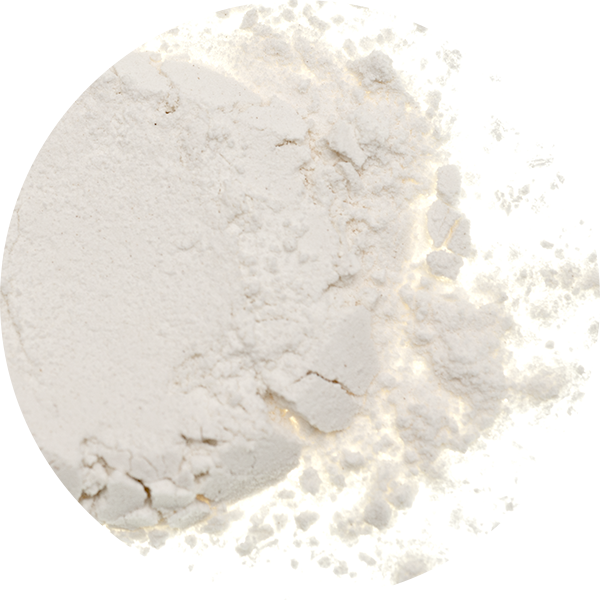 Rice Starch