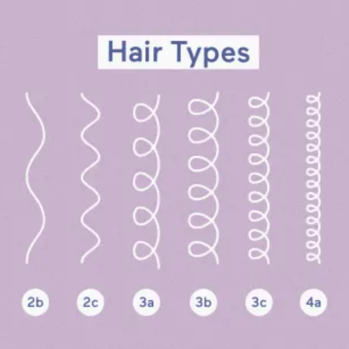 Curl & Hair Type: How To Identify Yours + The Best Hair Care Products
