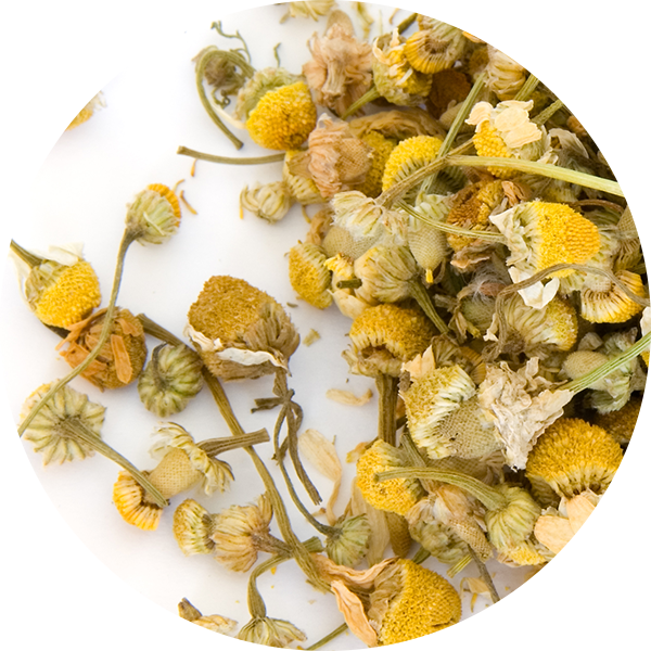 Ingredient Chamomile